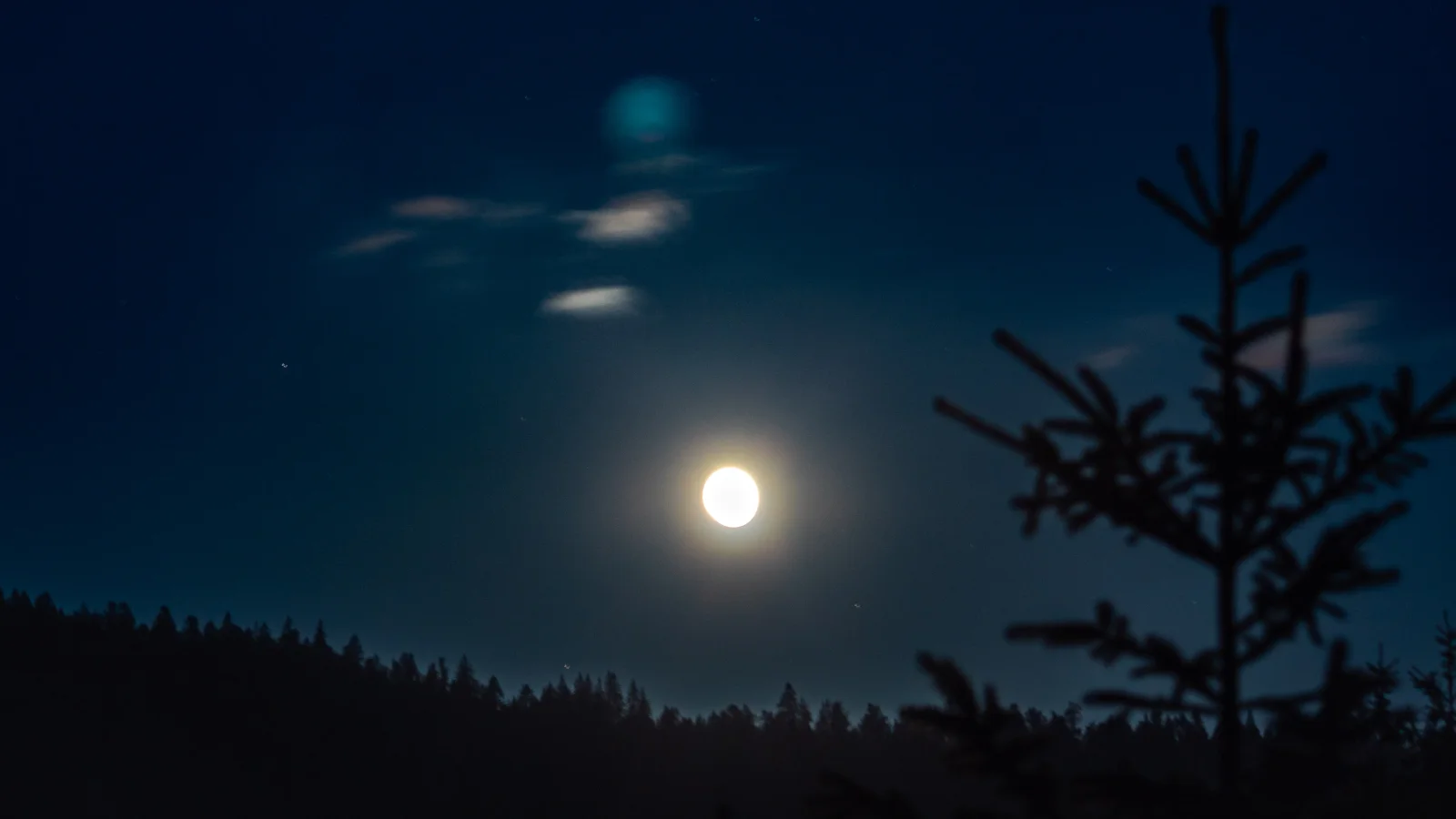 nature photography by JRMGraphy